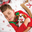 Picture of ELF PETS: A SAINT BERNARD TRADITION